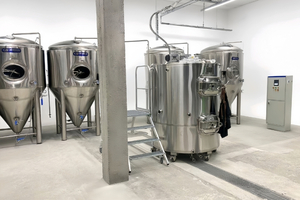 Alt-i-&eacute;n enkeltbeholders Brewhouse Compact Brewing System (100L-1000L)